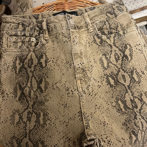 Zara - Picture 7 of 8